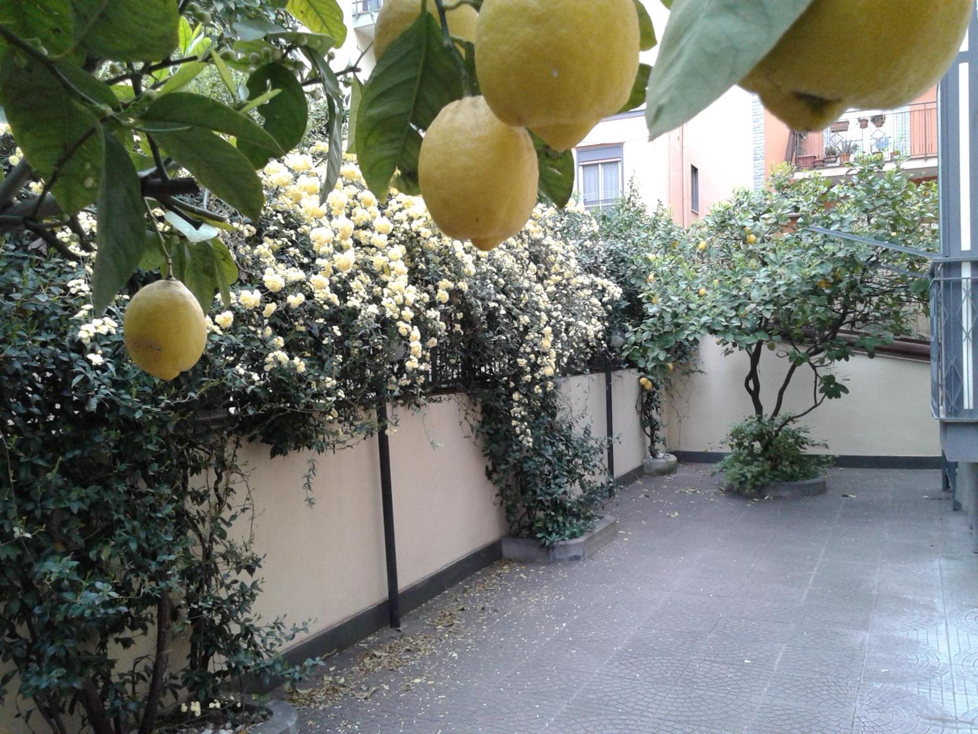Apartamento Casa Signorile Pompeya Exterior foto