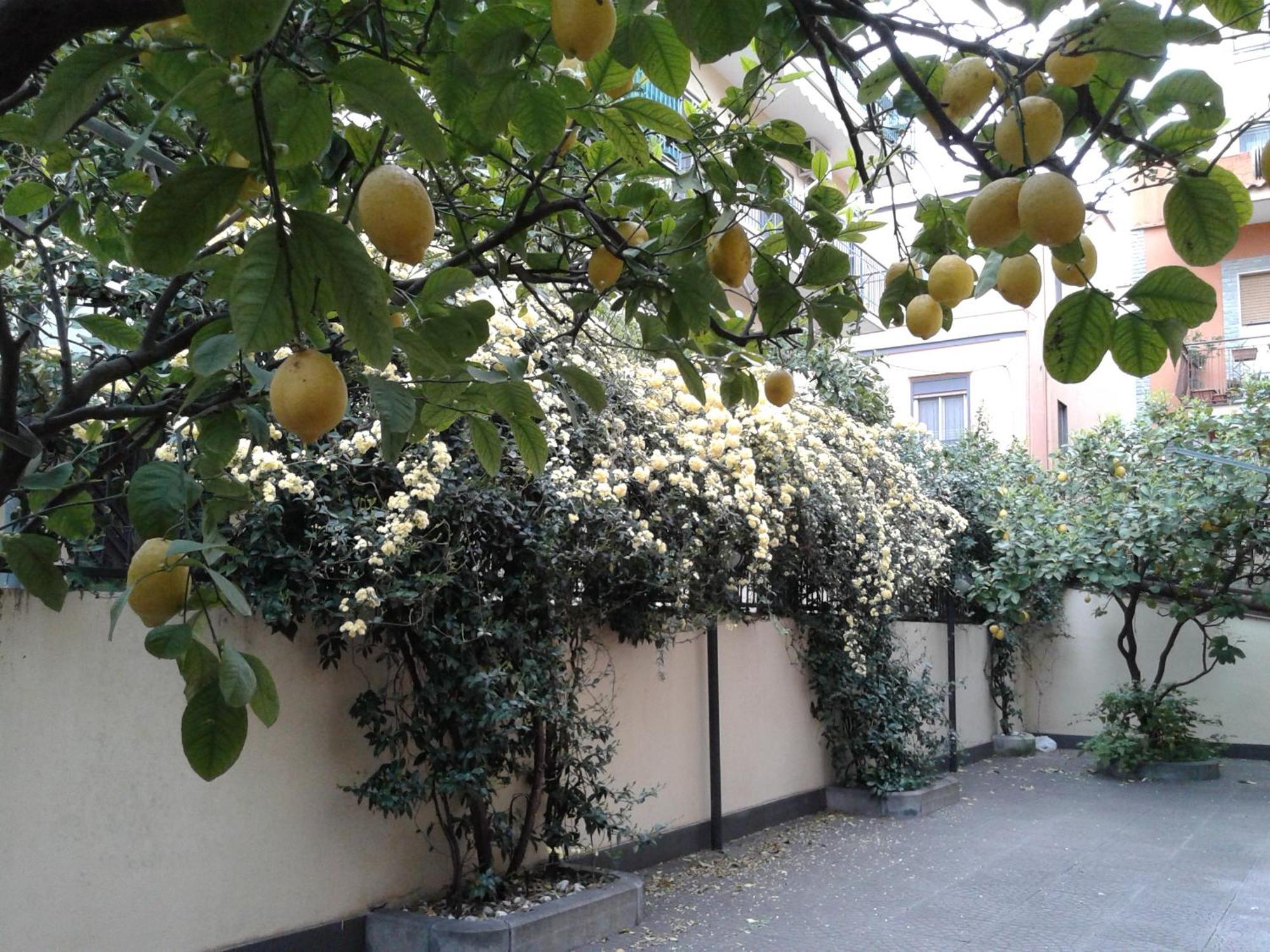 Apartamento Casa Signorile Pompeya Exterior foto